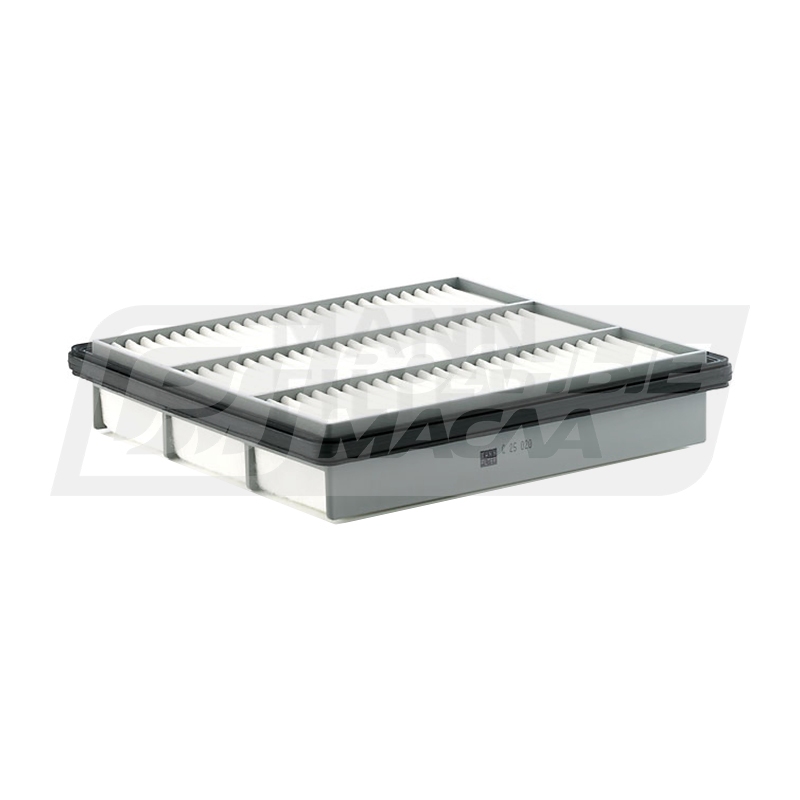 MANN C 25 020 (A-3014, MD620837) C25020